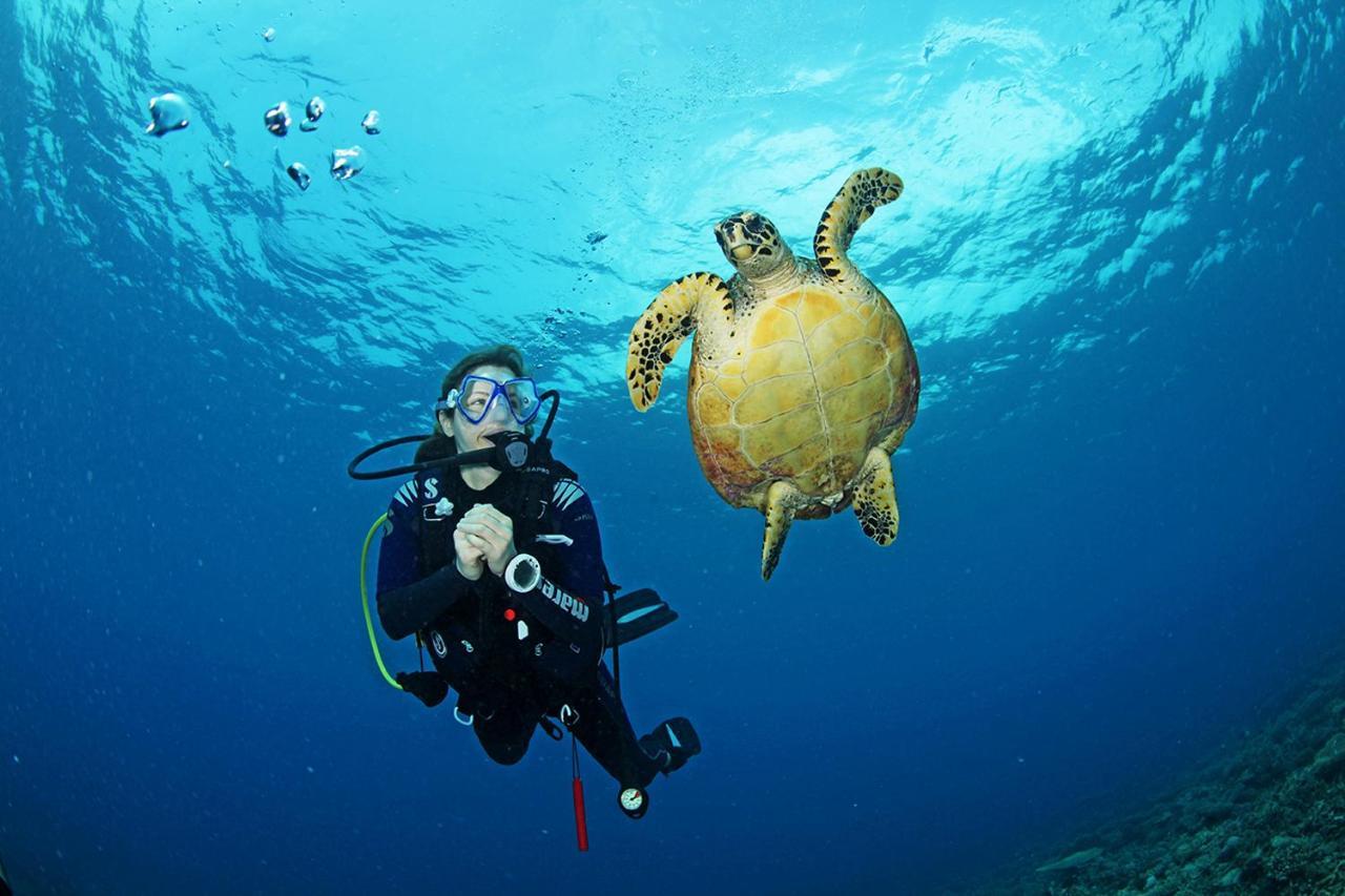Radisson Blu Resort Maldives With 50 Percent Off On Sea Plane Round Trip 03 Nights & Above Fenfushi Exterior foto Scuba diving with a turtle